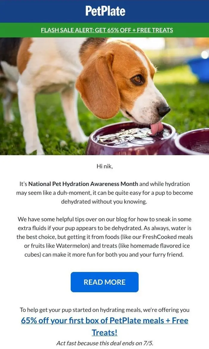 PetPlate: Get 65% Off for National Pet Hydration Awareness Month 💦