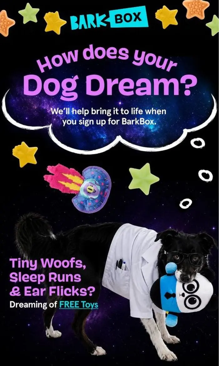 BARK: Your dog’s dreaming about this…