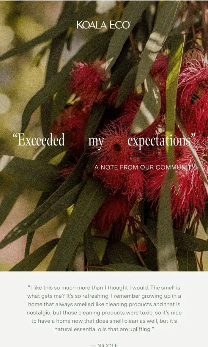Koala Eco: "Exceeded my expectations"