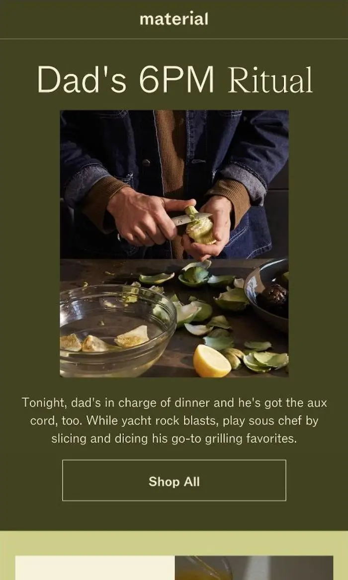 Material: Dad’s in Charge of Dinner Tonight