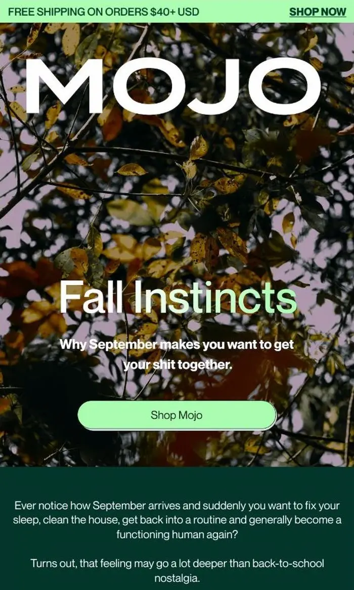 Mojo: Why fall makes you want to get your shit together 🍂