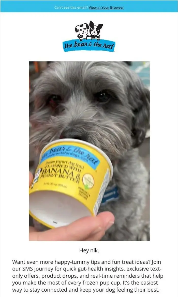 The Bear & The Rat: Start Your Pup’s Gut Health Journey 🐶💙
