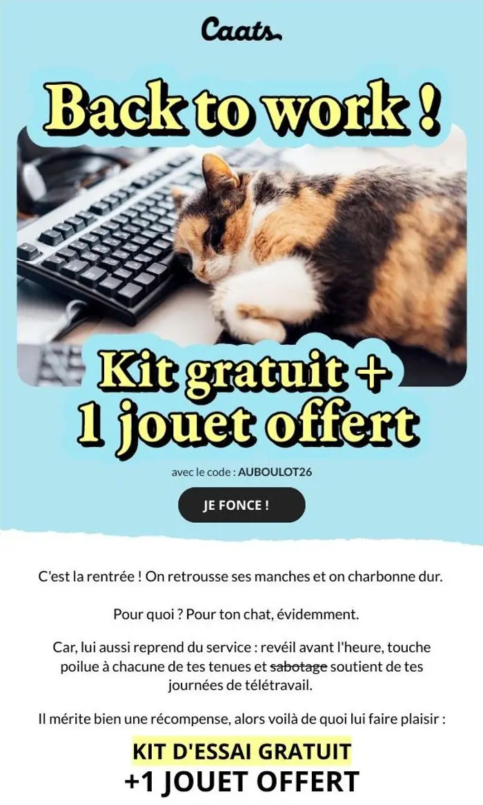 Caats: Au boulot !