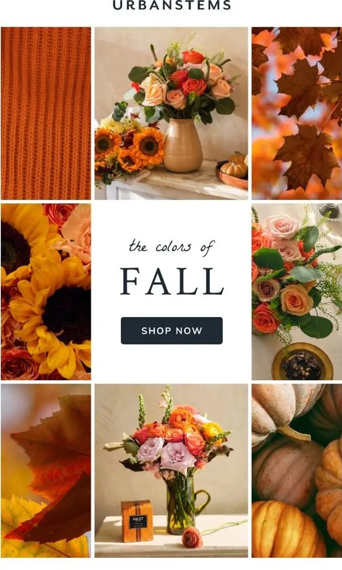 UrbanStems: Your fall color palette has arrived