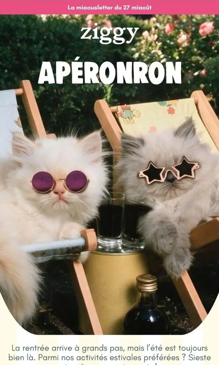 Ziggy: C'est l'heure de l'apéronron 😺