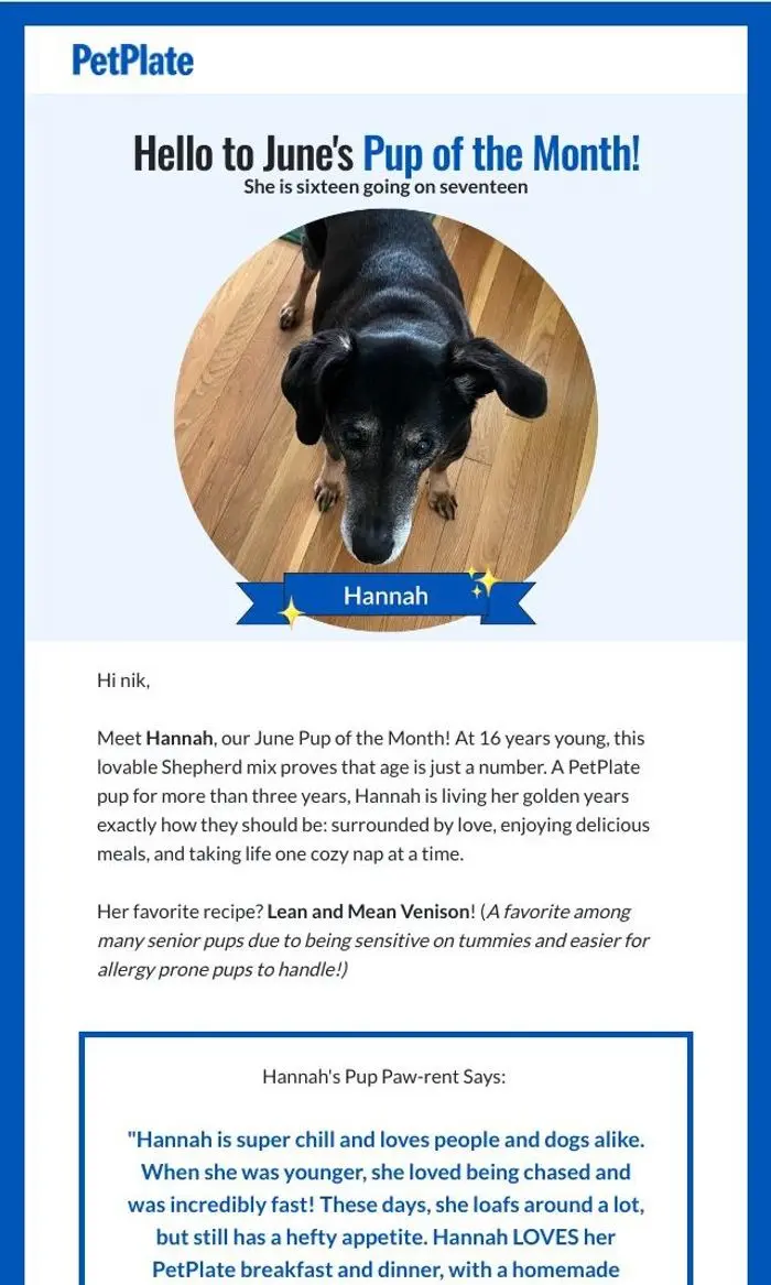 PetPlate: Hello to June's Pup of the Month! ⛰️🎶