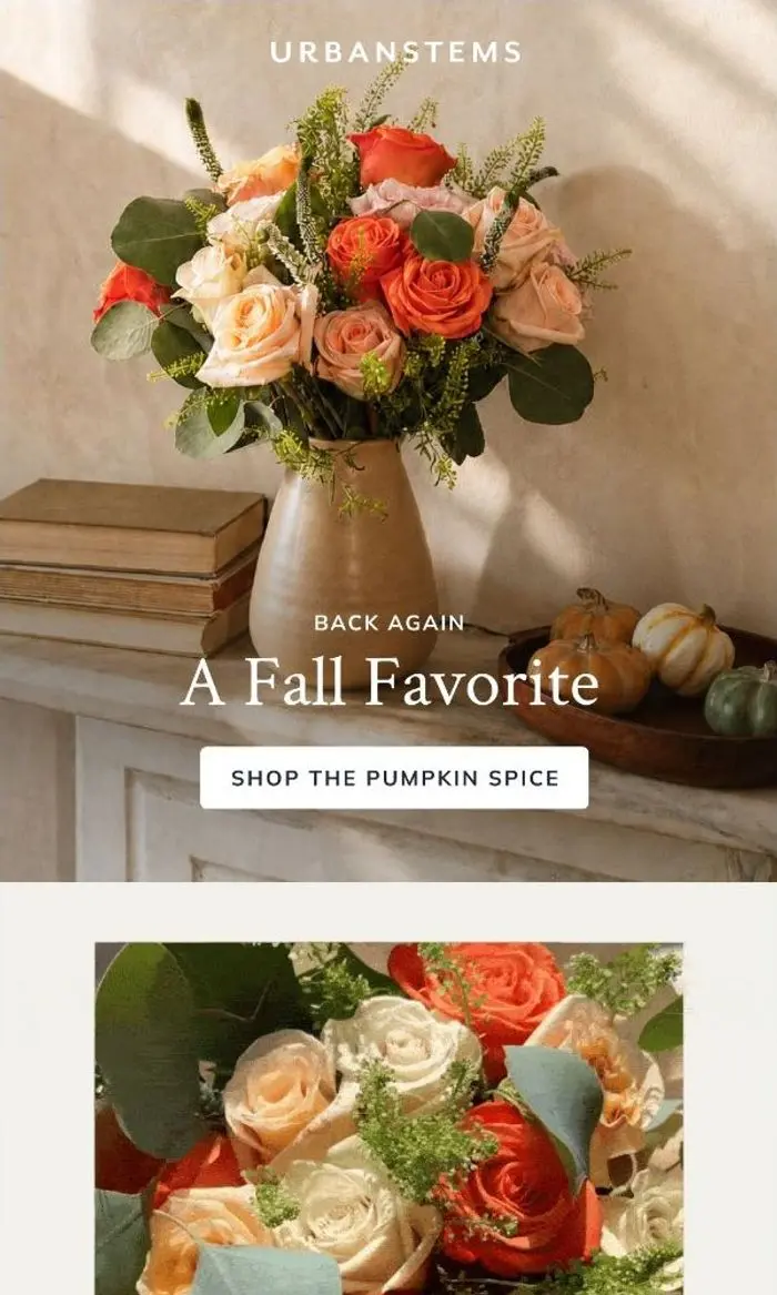 UrbanStems: The Pumpkin Spice is back!