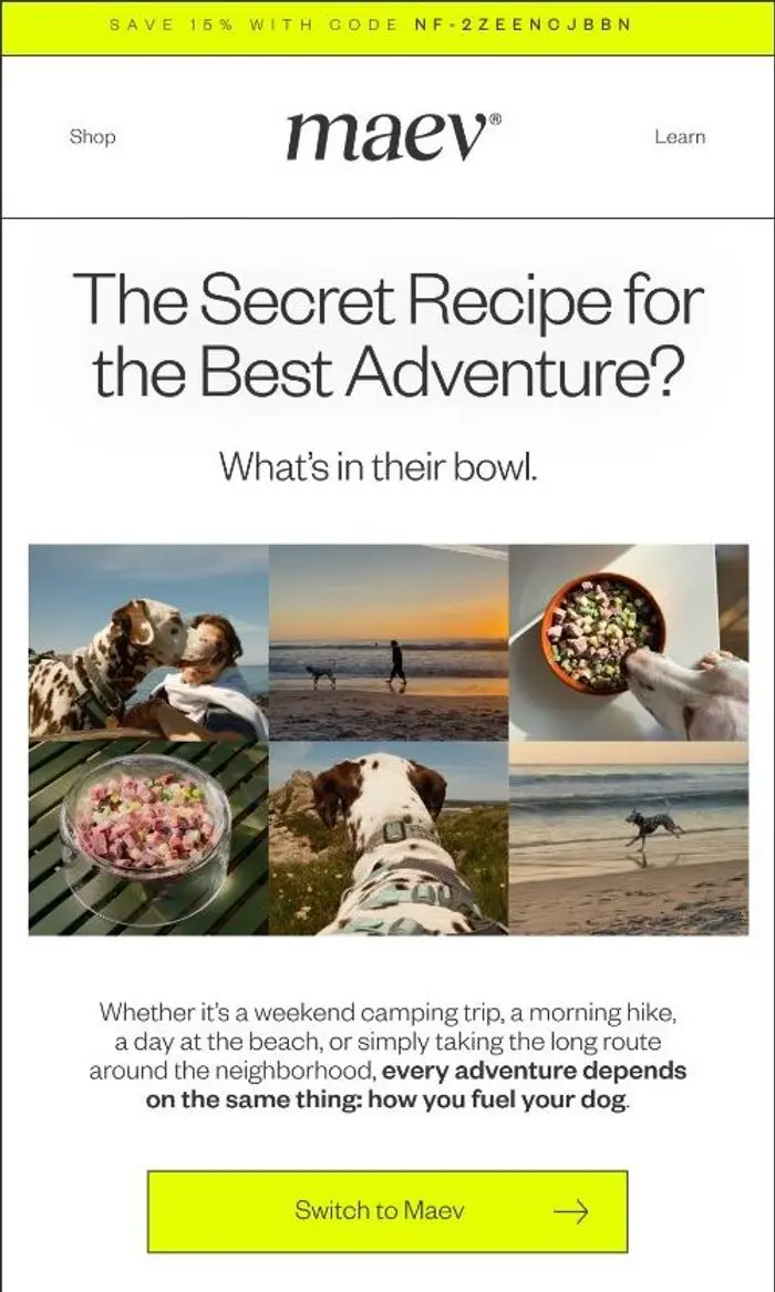 Maev: Upcoming Adventure? Don’t Forget the Most Important Gear