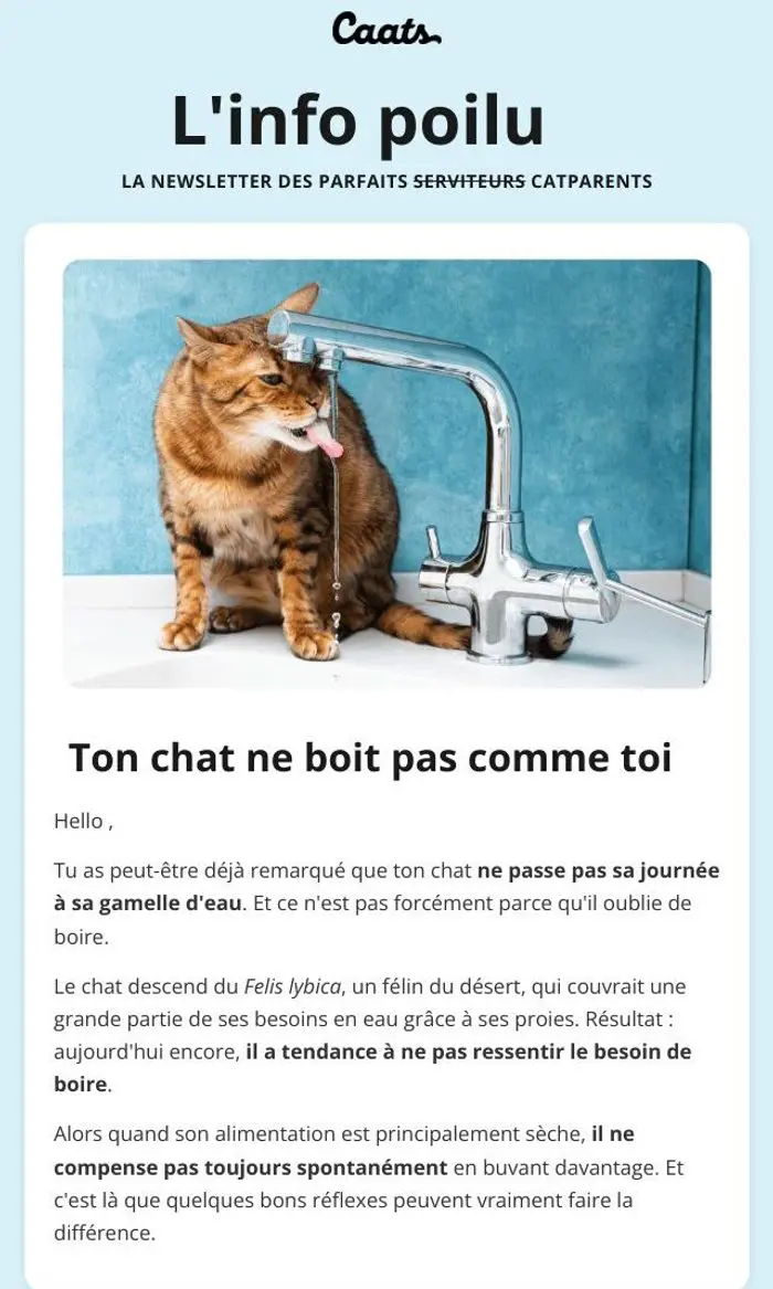 Caats: Ton chat ne boit pas comme toi 💧