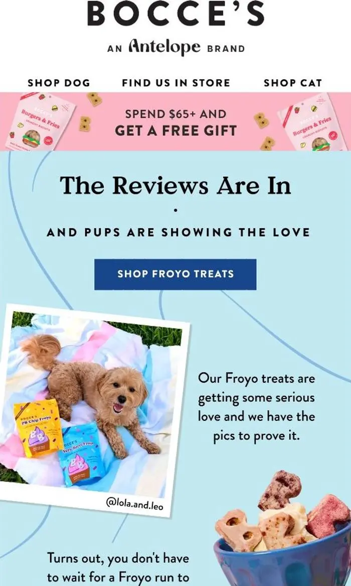 Bocce's Bakery: Froyo for pups 🍦🐾