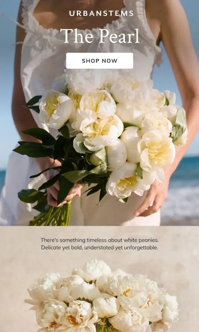 UrbanStems: Peony perfection