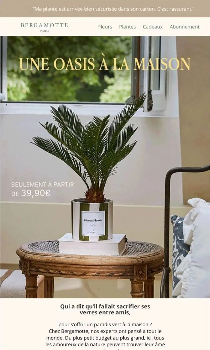 L'équipe Bergamotte: Faites de votre intérieur un paradis vert à partir de 24,90€ 🌴