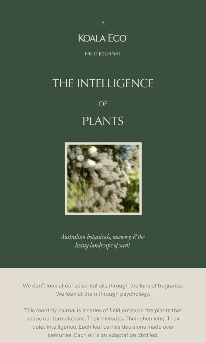 Koala Eco: The Intelligence of Plants - Rosalina