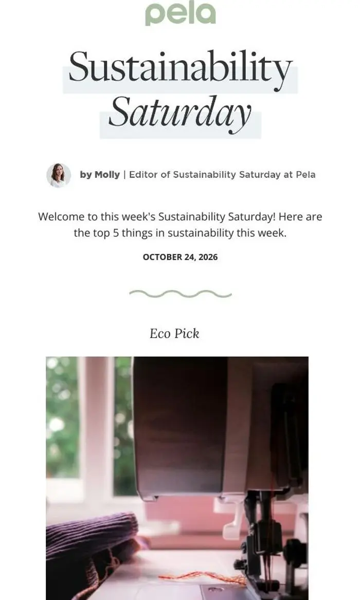 Pela Case: A Greener Afterlife for Pumpkins This Year | Sustainability Saturday