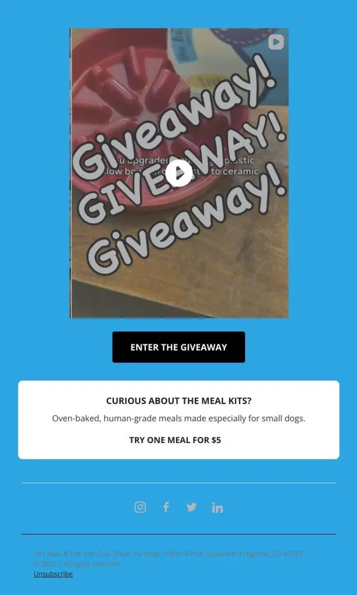 The Bear & The Rat: 🎉 GIVEAWAY TIME!