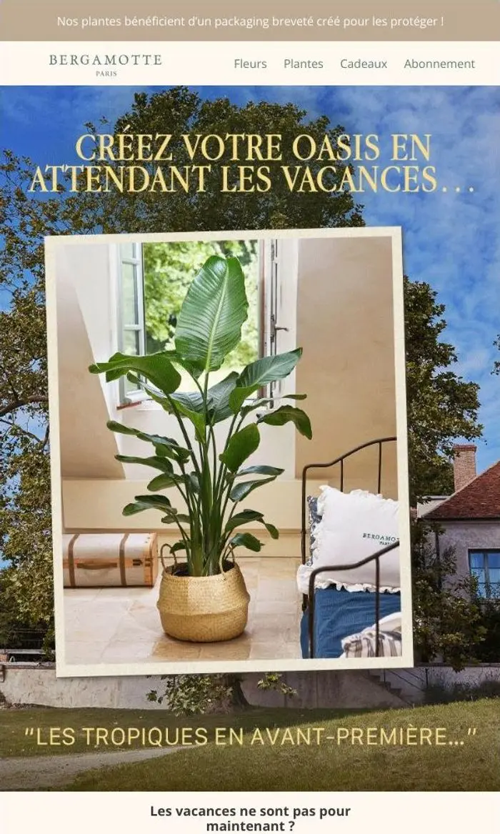 L'équipe Bergamotte: Vous avez demandé une oasis privée ? 🌞