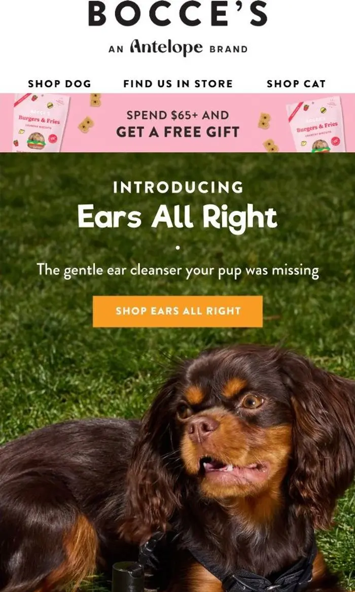 Bocce's Bakery: Ears All Right is here 👂✨
