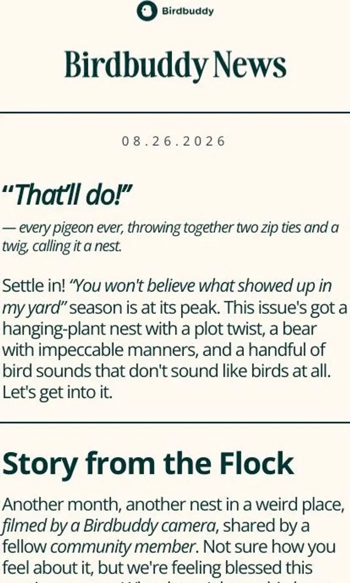 Birdbuddy: You may have personally lengthened a hummingbird's beak.