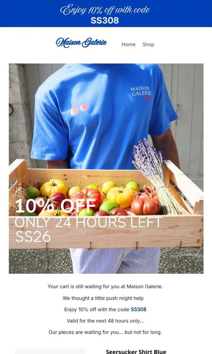 MAISON GALERIE: We’ve saved your cart… and a little surprise 👀
