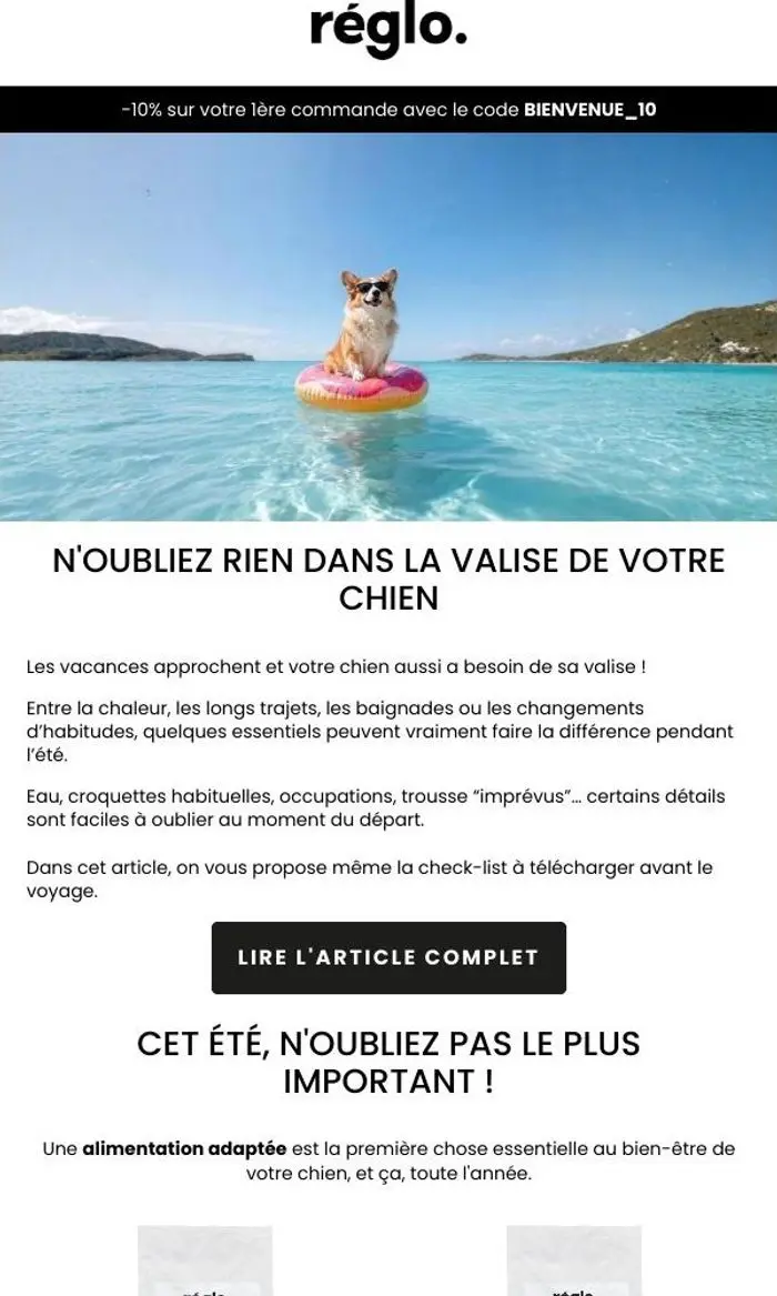 réglo: N'oubliez rien dans la valise de votre chien !