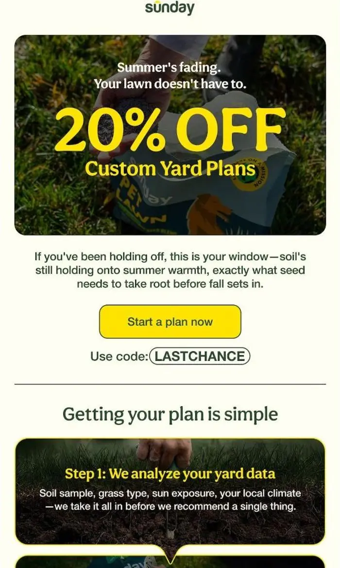 Sunday: Waiting for You: 20% OFF Your Plan