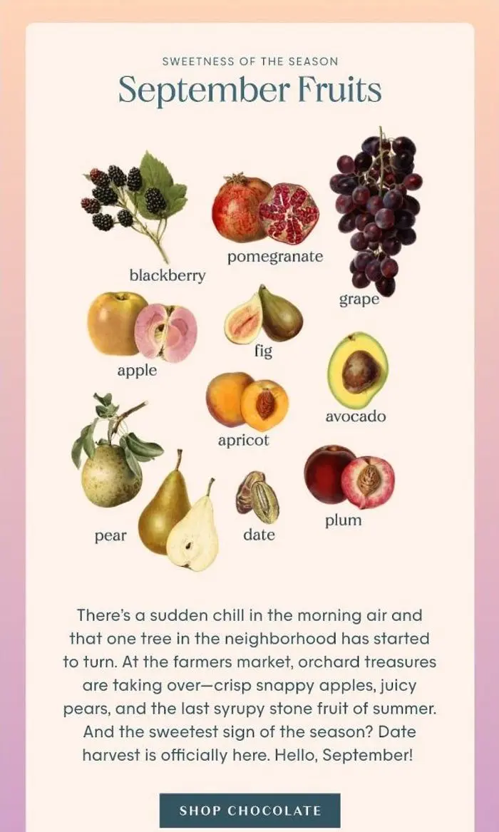 Spring & Mulberry: What's in Season 🍎