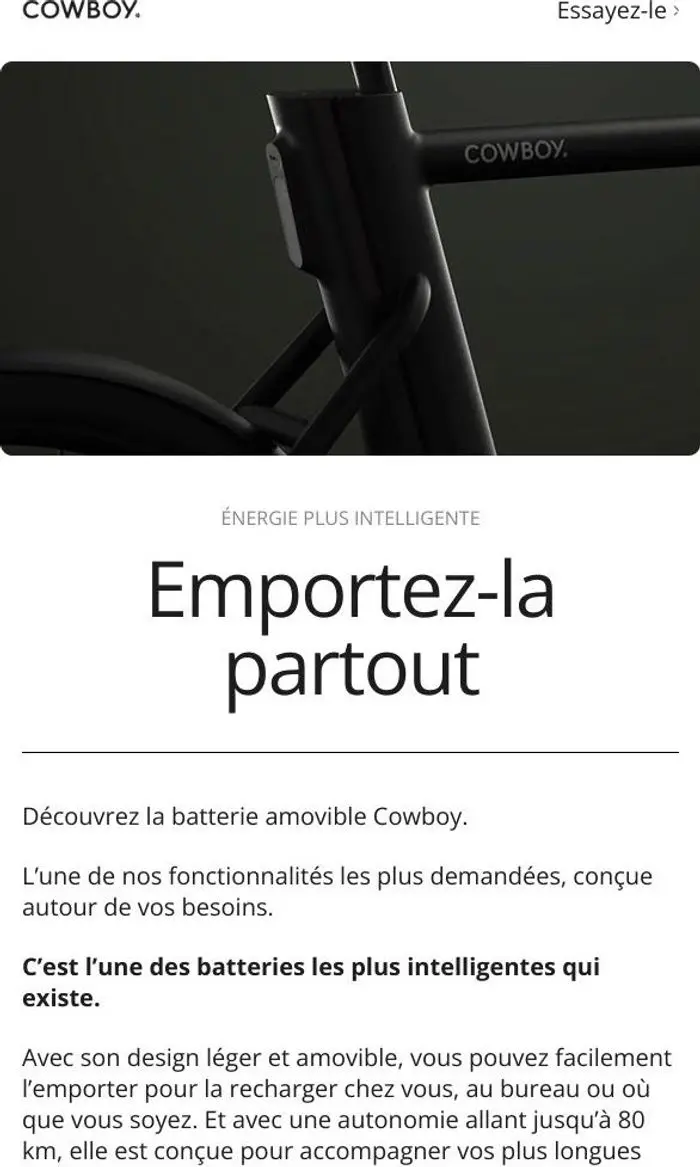 Cowboy: Puissance partout