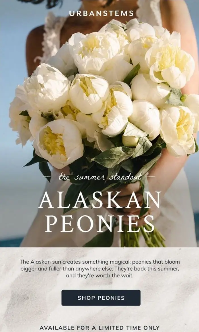 UrbanStems: Alaskan peonies are back!