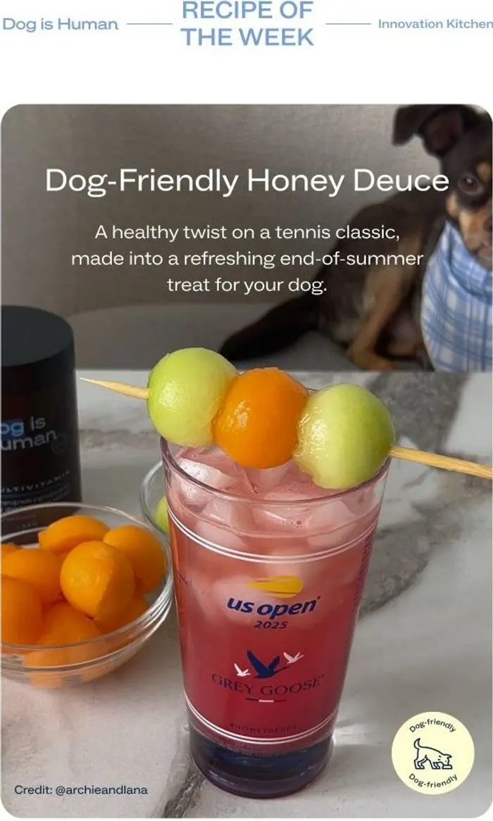 Dog is Human: 🎾 Game, Set, Sip