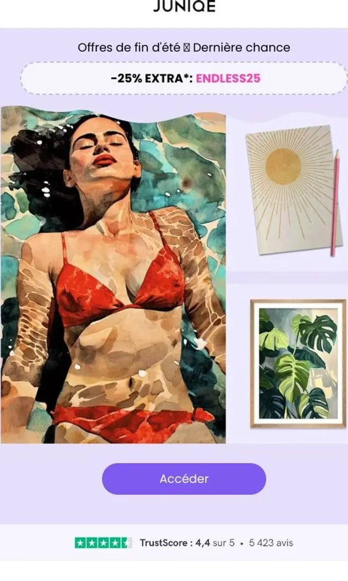 JUNIQE Art Club: Plus que 48h 🌞 -25% extra sur tout