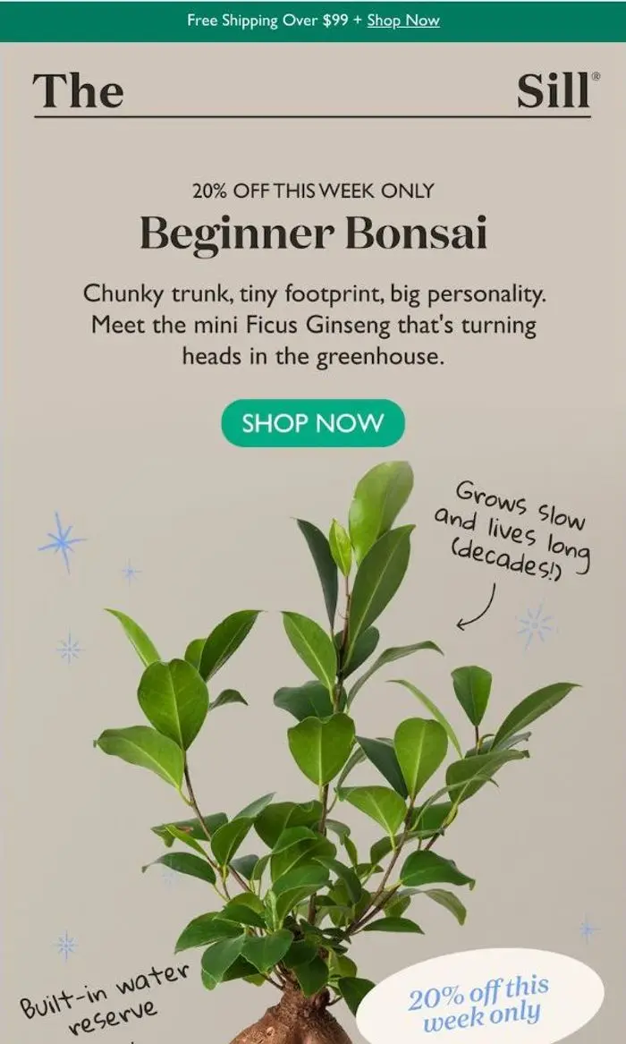 The Sill: Always wanted a bonsai? Start here.