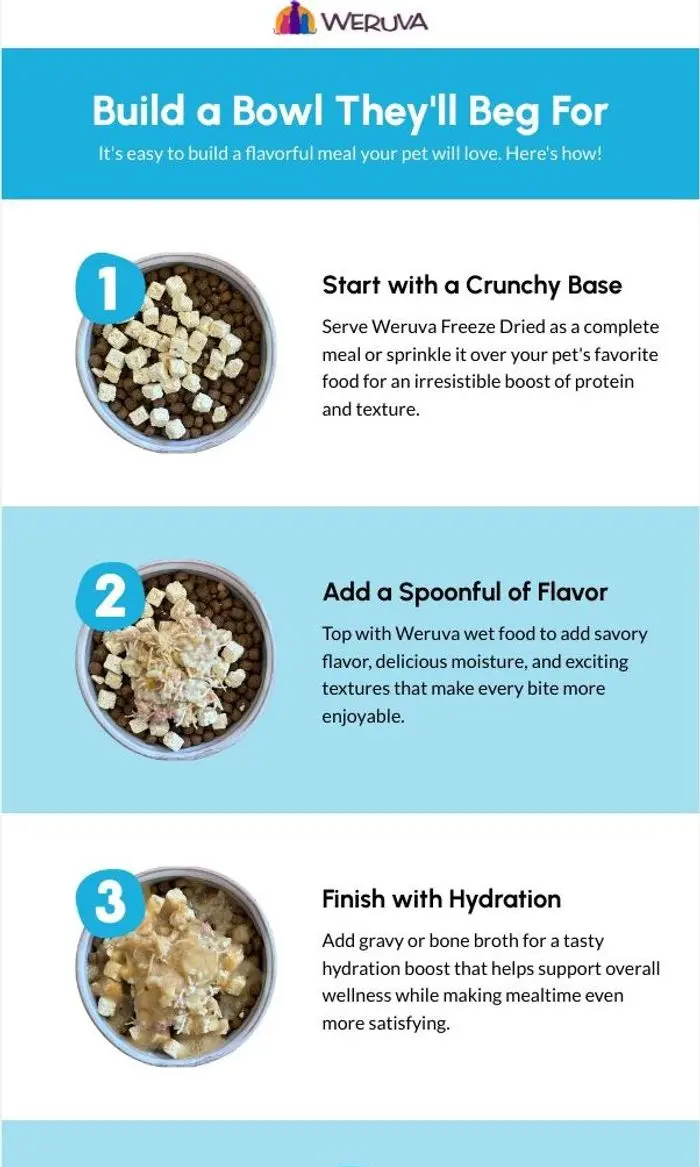 Weruva: Build a Bowl They'll Beg For 🥣