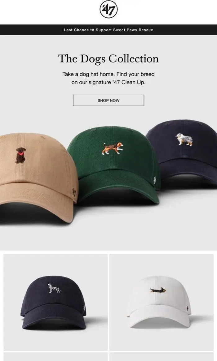'47: Sport Your Dog for a Cause