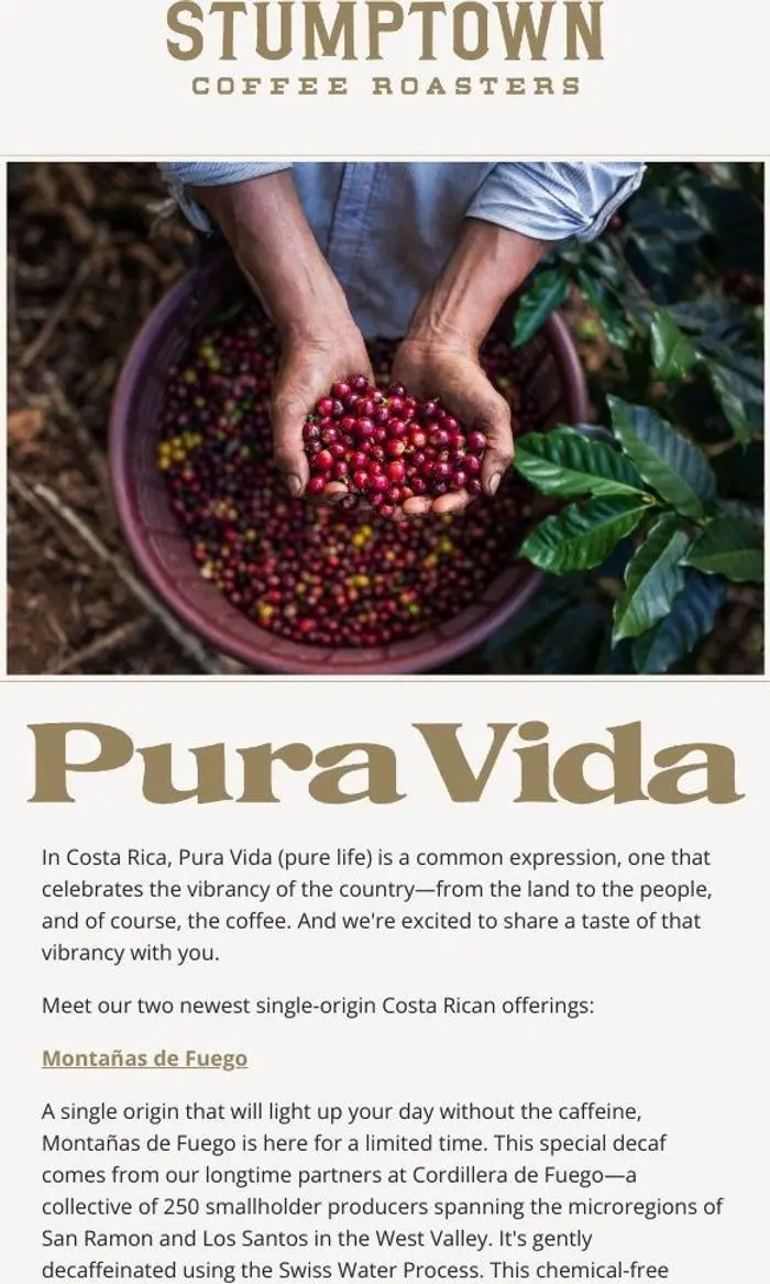 Stumptown Coffee Roasters: Introducing Our New Costa Rican Gems! 🇨🇷