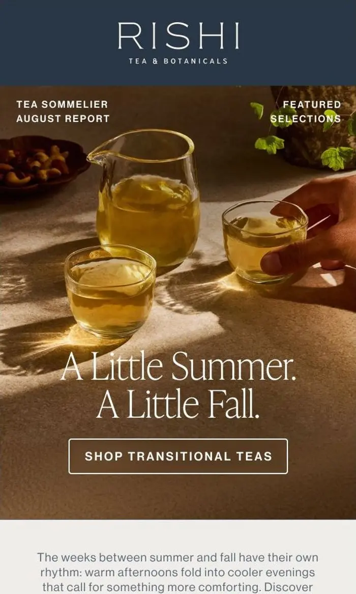 Rishi Tea & Botanicals: The Right Teas for Right Now