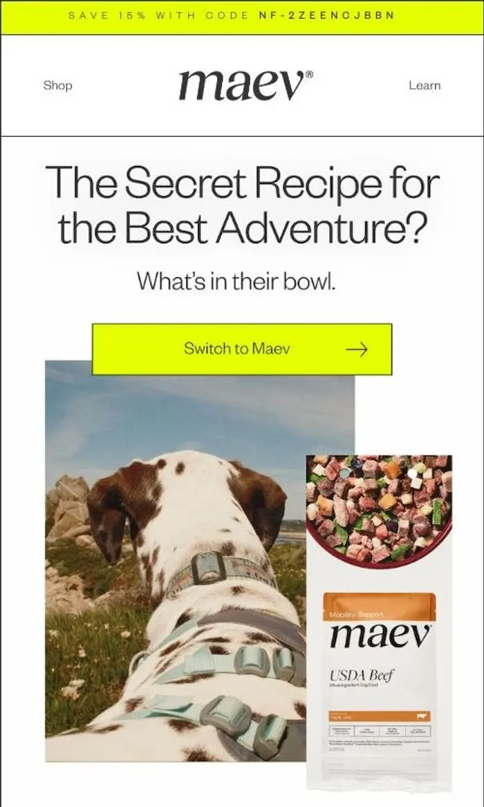 Maev: You’re Forgetting Something for Your Next Adventure