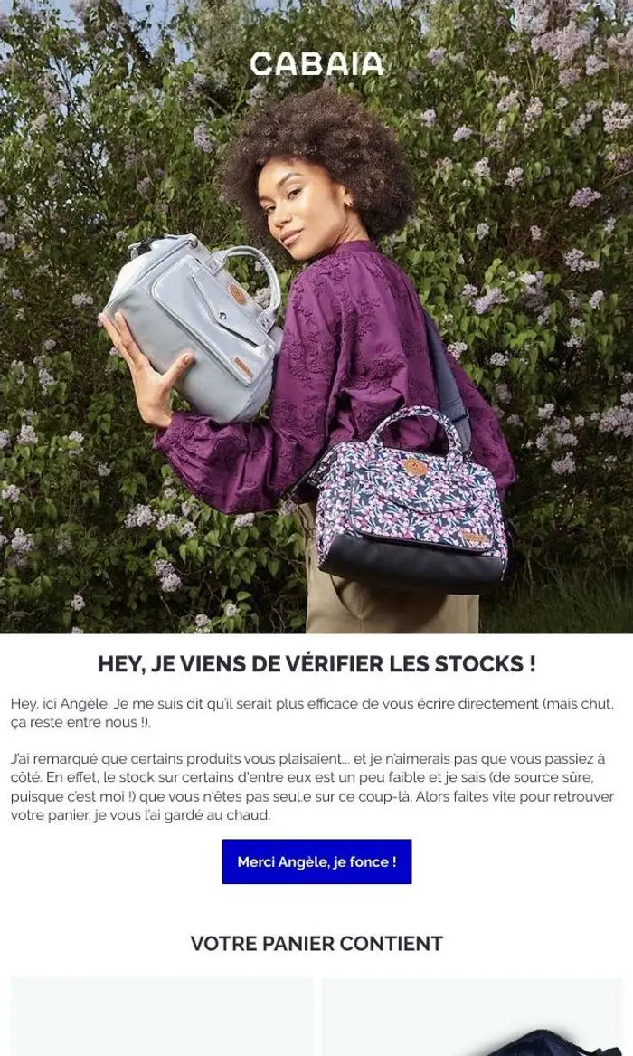 CABAIA: Commande en cours