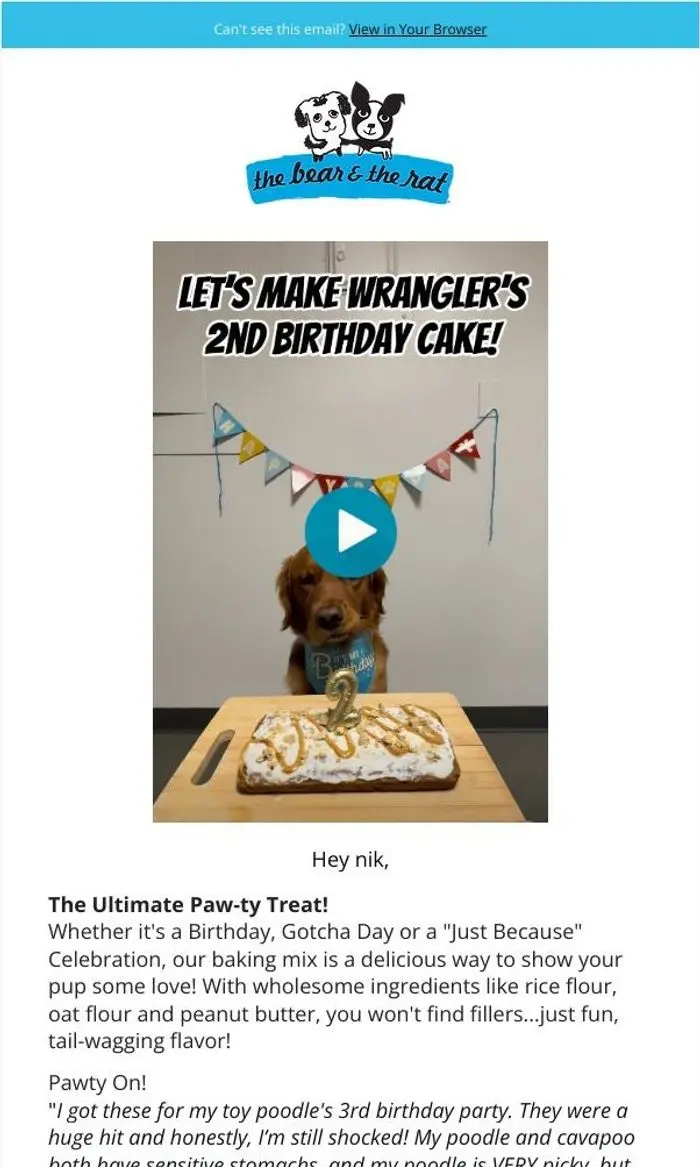 The Bear & The Rat: 🍰 Let's Pawty! 🐶