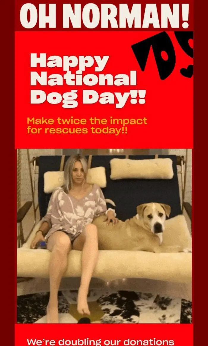 Oh Norman: HAPPY NATIONAL DOG DAY 🐶 & How to Double Your Impact to Help Rescues Today ❤️