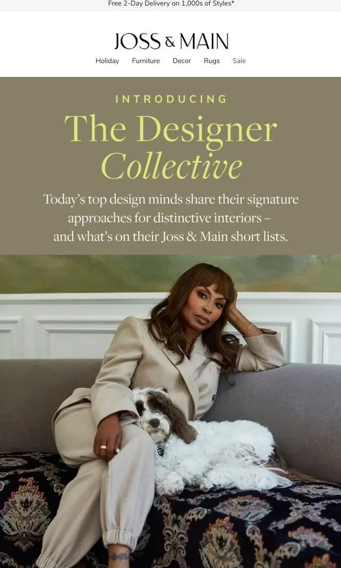 Joss & Main: INTRODUCING: The Designer Collective →