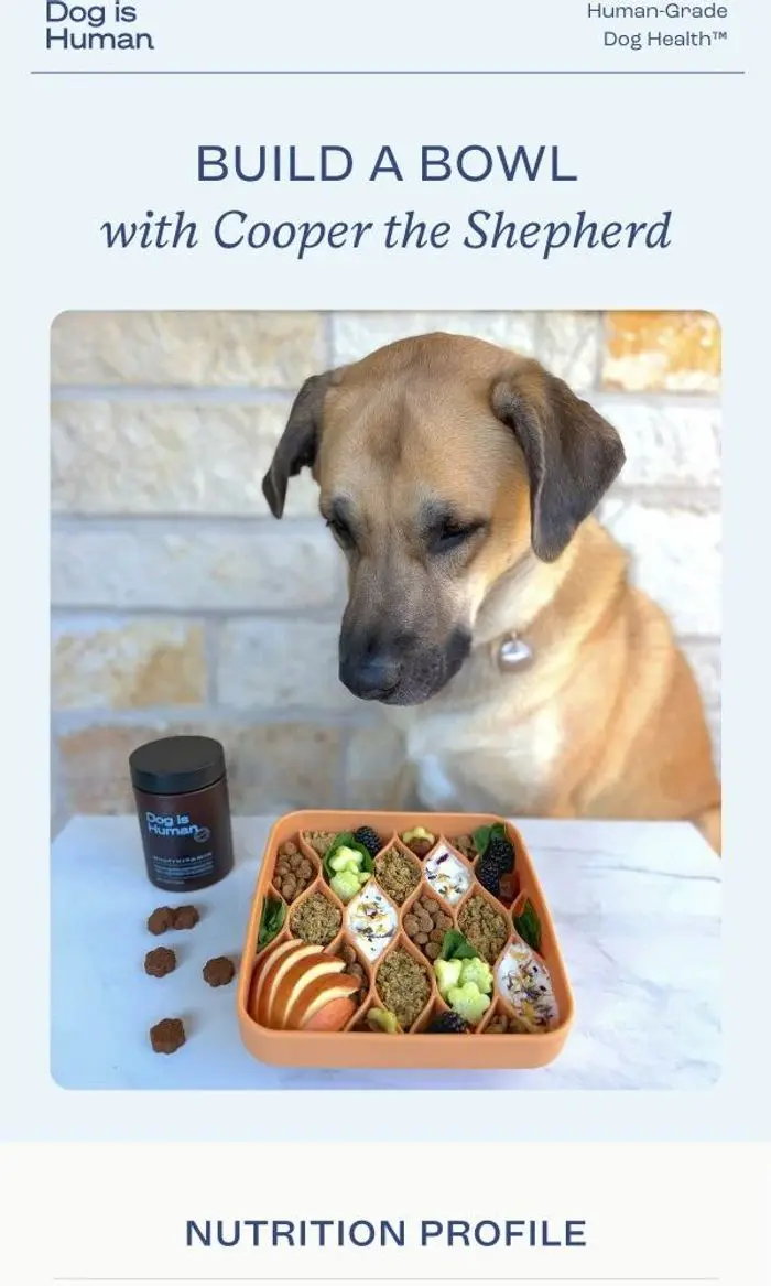 Dog is Human: Labor Day Savings Ends Tonight
