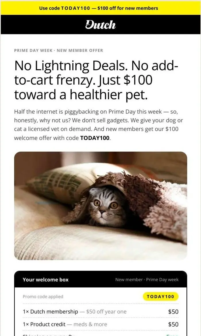 Dutch: Half the internet has a Prime Day deal. So do we.
