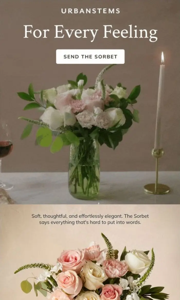 UrbanStems: The one that says it all