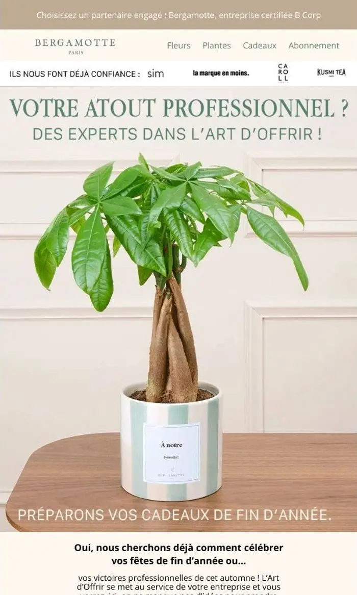 L'équipe Bergamotte: L’Art d’Offrir au service de votre entreprise ⭐