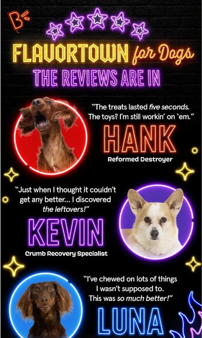 BARK: Flavortown For Dogs earns a 5-tail rating 🐶