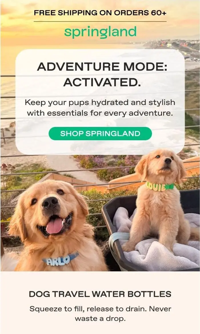 Springland Pets: Ready for your next adventure?