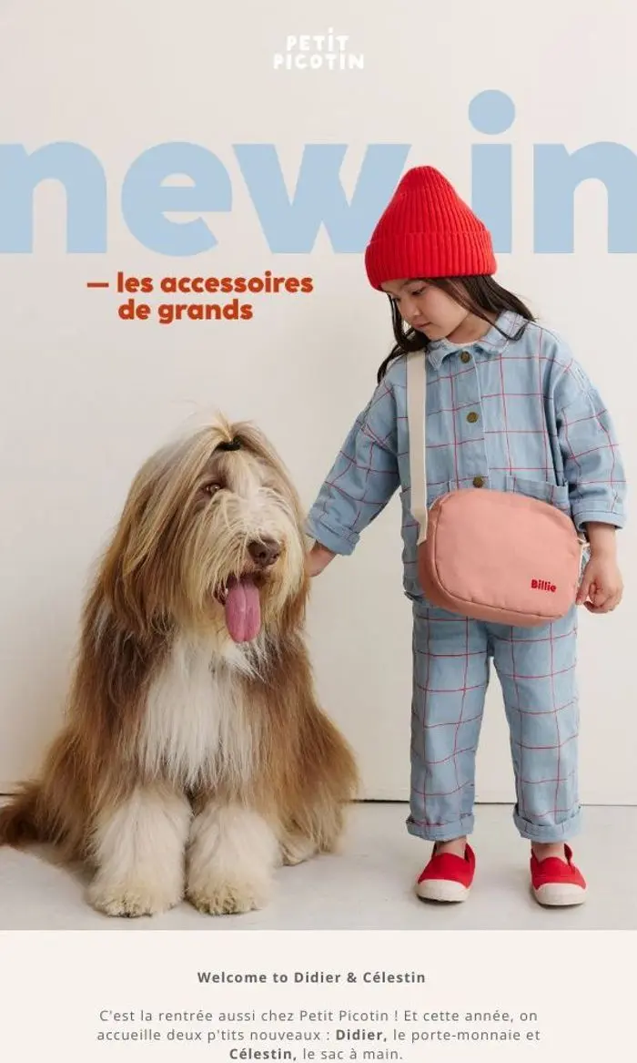 PETIT PICOTIN: New in : les accessoires de grands 😙