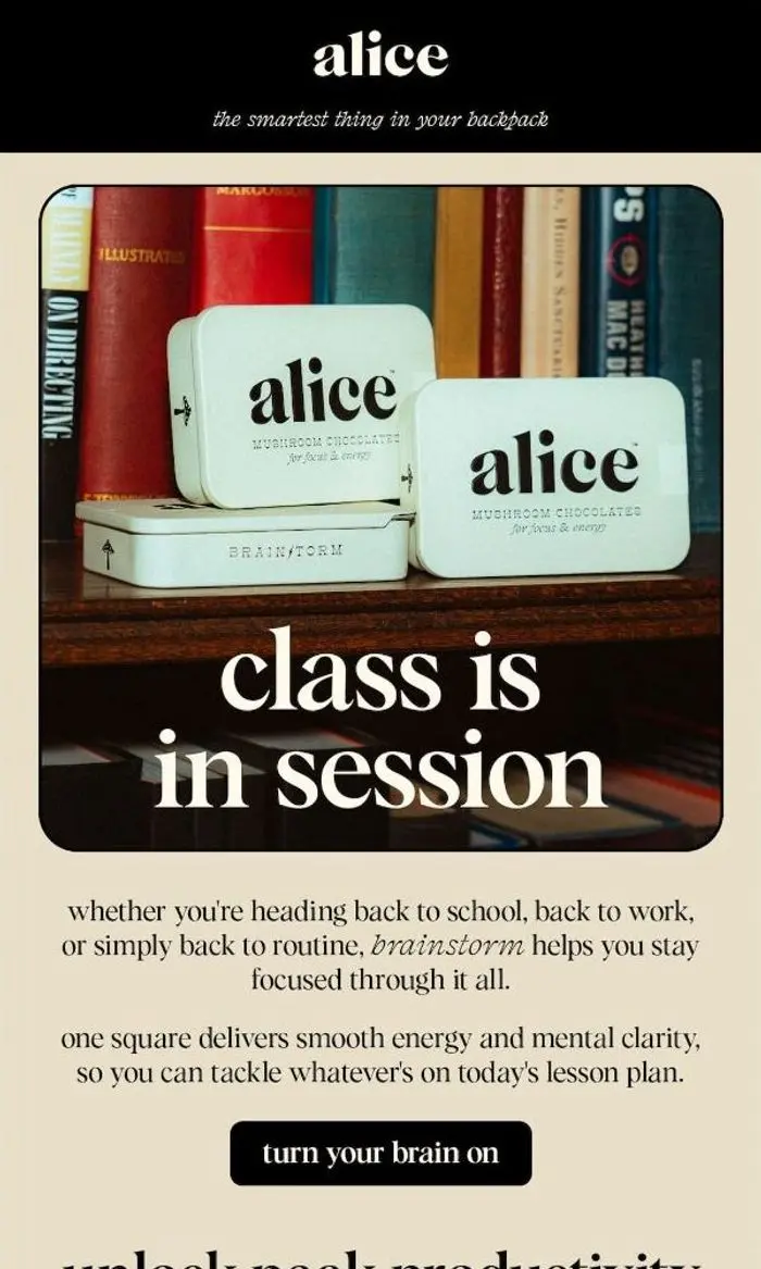 alice mushrooms 🍄: FOCUS IS BACK IN SESSION