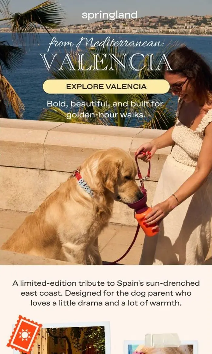 Springland Pets: Next stop: Valencia ✈️
