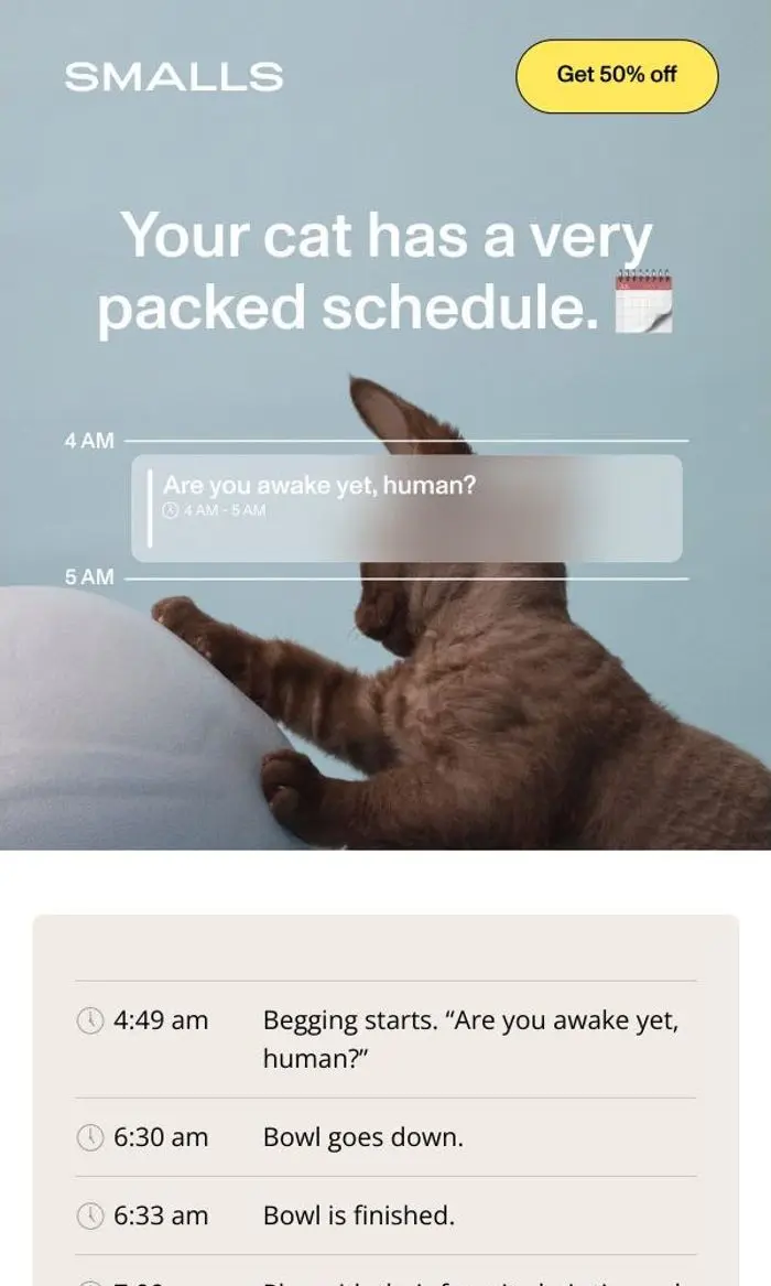 Smalls: Your cat's schedule is unhinged